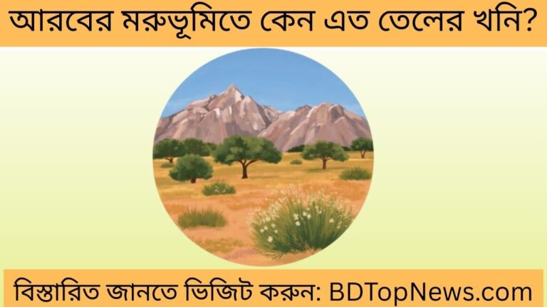 আরবের মরুভূমিতে কেন এত তেলের খনি