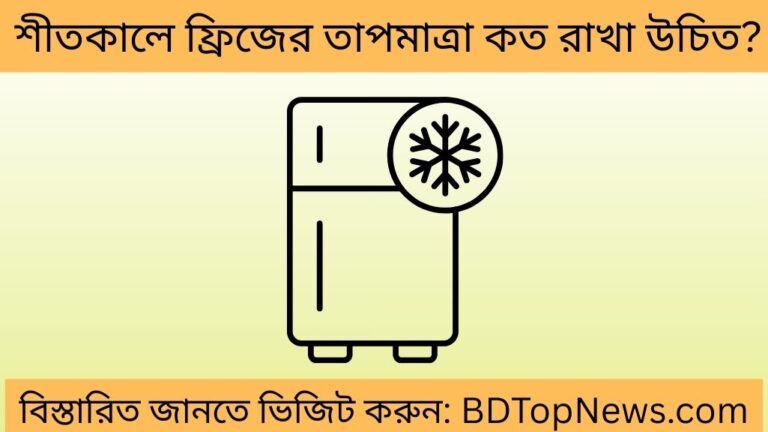 শীতকালে ফ্রিজের তাপমাত্রা কত রাখা উচিত